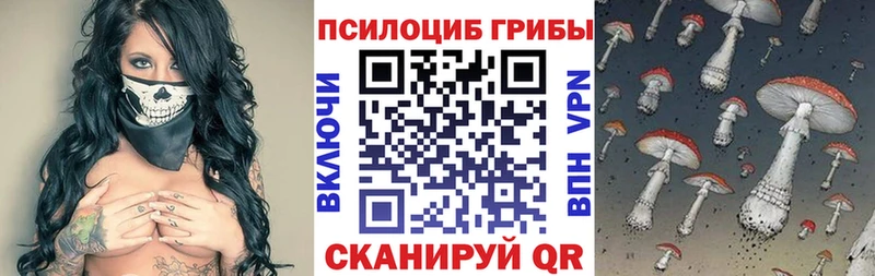 даркнет сайт  Тула  Галлюциногенные грибы MAGIC MUSHROOMS 